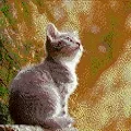 ASCII Animals
