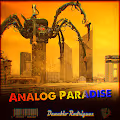 Analog Paradise