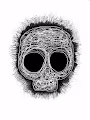 hand3seen skullz