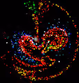 Colors Against Darkness