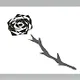 Thorns.