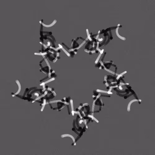 the Star Experiment