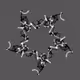 the Star Experiment