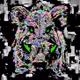 Epic Animals New Daily