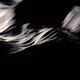 Dances with Light