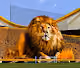 SOCCER_NFT