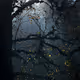 Music From Dark Spaces 1