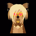 Club K9ren