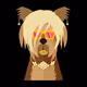 Club K9ren