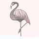 Birds of one Sloth