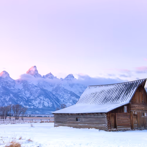 Brynn Alise Photo Editions "Commitment"