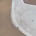 curve 01