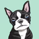 The DOGGOZ