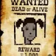 Wanted Punks
