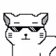 Boring Cats