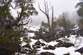 Winter Wonderland in Tasmania
