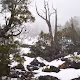 Winter Wonderland in Tasmania
