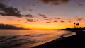 Maui Dreams