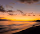 Maui Dreams