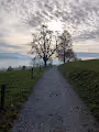 Inspiring Nature