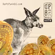 DaftPunk81 - Biodiversity Crypto