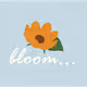 bloom...