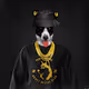 Husky Social Club