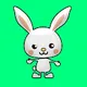 Crazy-Rabbits