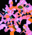 Neural Originals Collection