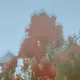 Jiggle Jiggle