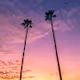 Beach Boulevard
