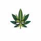 Weedyblez - Series 1