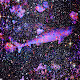 Galactic Sharks