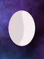 Egg Carton