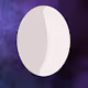 Egg Carton