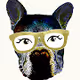 HelloDog Collection