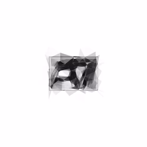 Xtarxx