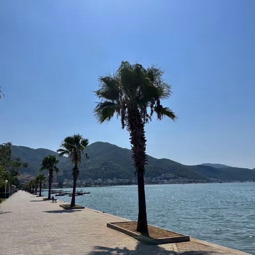 Natural Life Of A Human