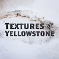 Textures of Yellowstone