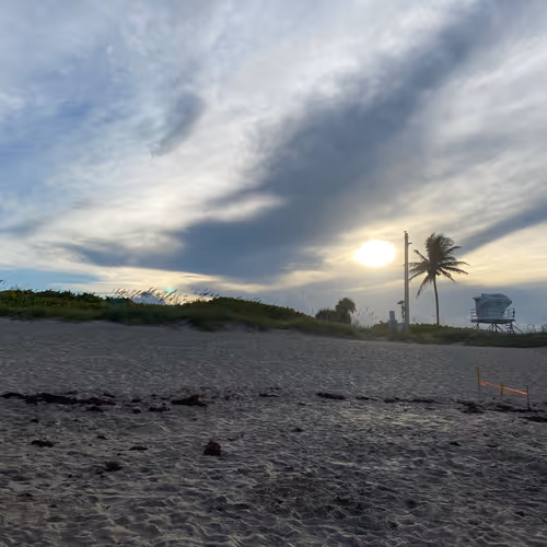 Photography / Drone Shots