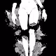 Cursed Bodies - old