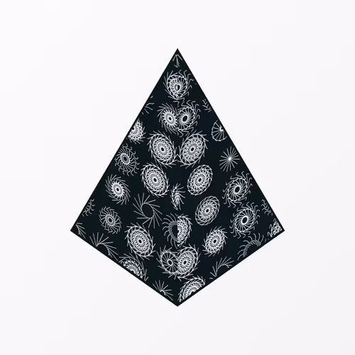 Coalition by Generative Artworks
