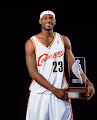 LeBron James Card Collector - old