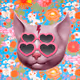 The Katzies (For deletion) - old
