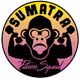 sfs