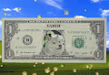 DogMoney