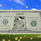 DogMoney