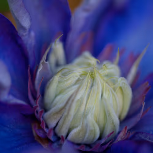 Colors of beautiful nature