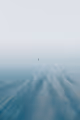Our Fragile World - Tundra Collection