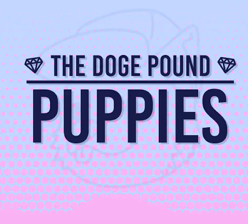 Doge Pound Puppies